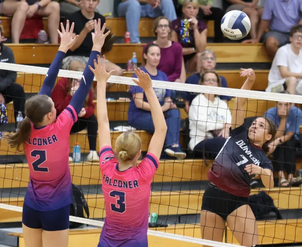 Falconer trims Dunkirk volleyball in 4